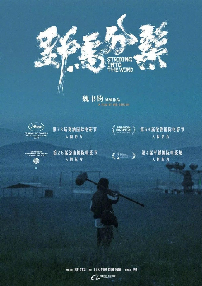 限定视角口碑新片
